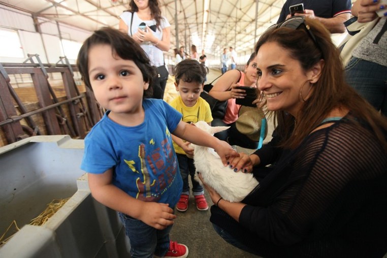 Dairy Khoury Farm Gates Opening